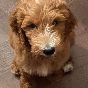 Meet your Posher, Beth